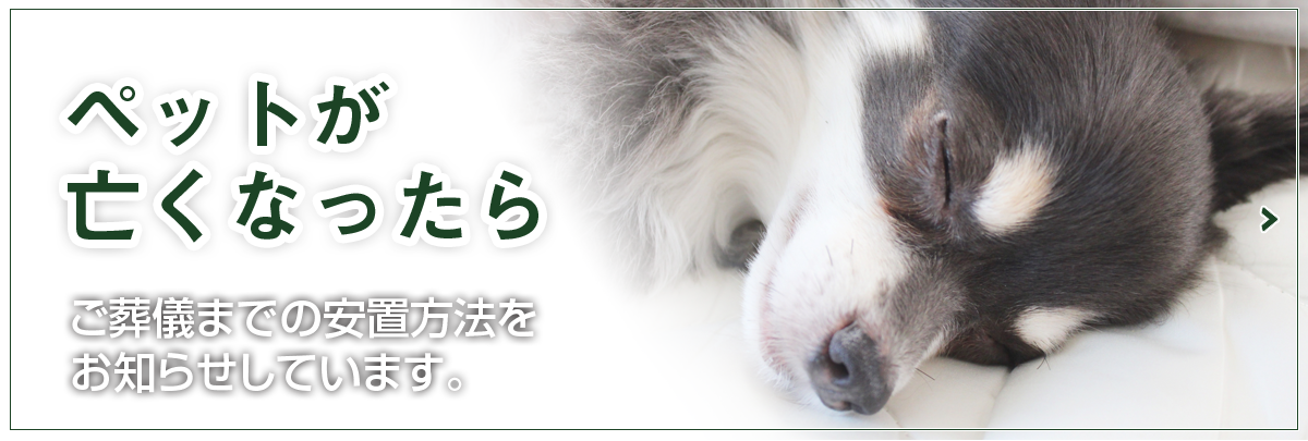 ペットが亡くなったら