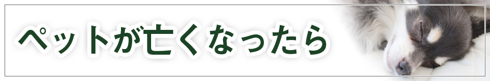 ペットが亡くなったら